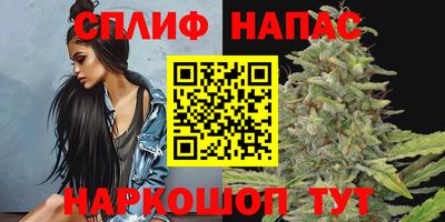 гашик Аргун
