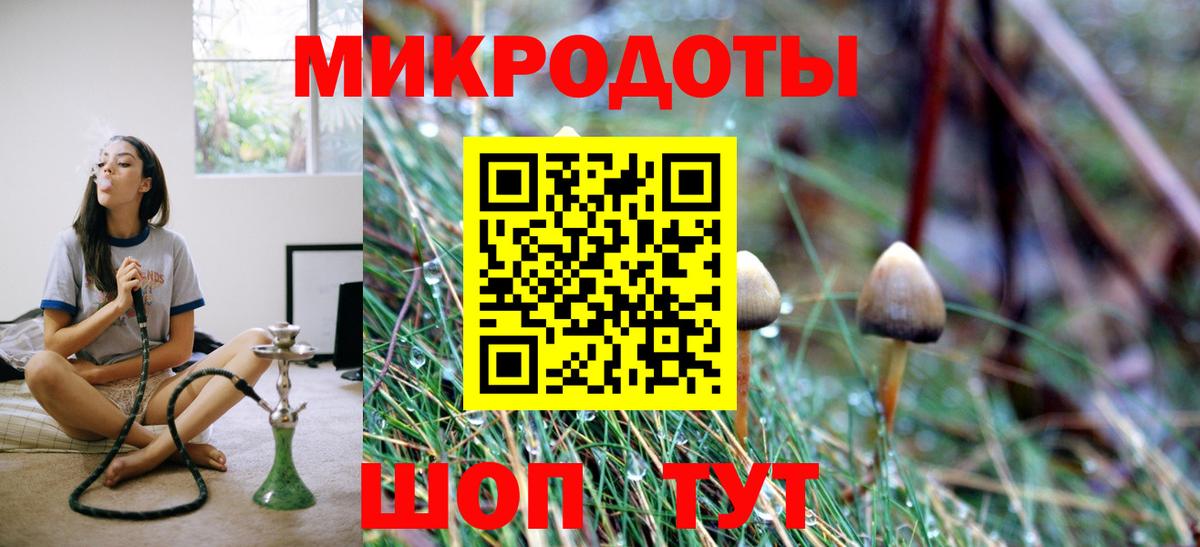 Галлюциногенные грибы Psilocybine cubensis  Галлюциногенные грибы мухоморы  Волгоград  Вход с VPN 