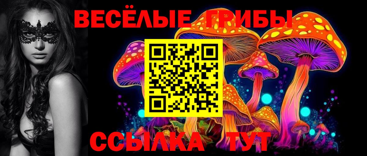 Галлюциногенные грибы мицелий Волгоград